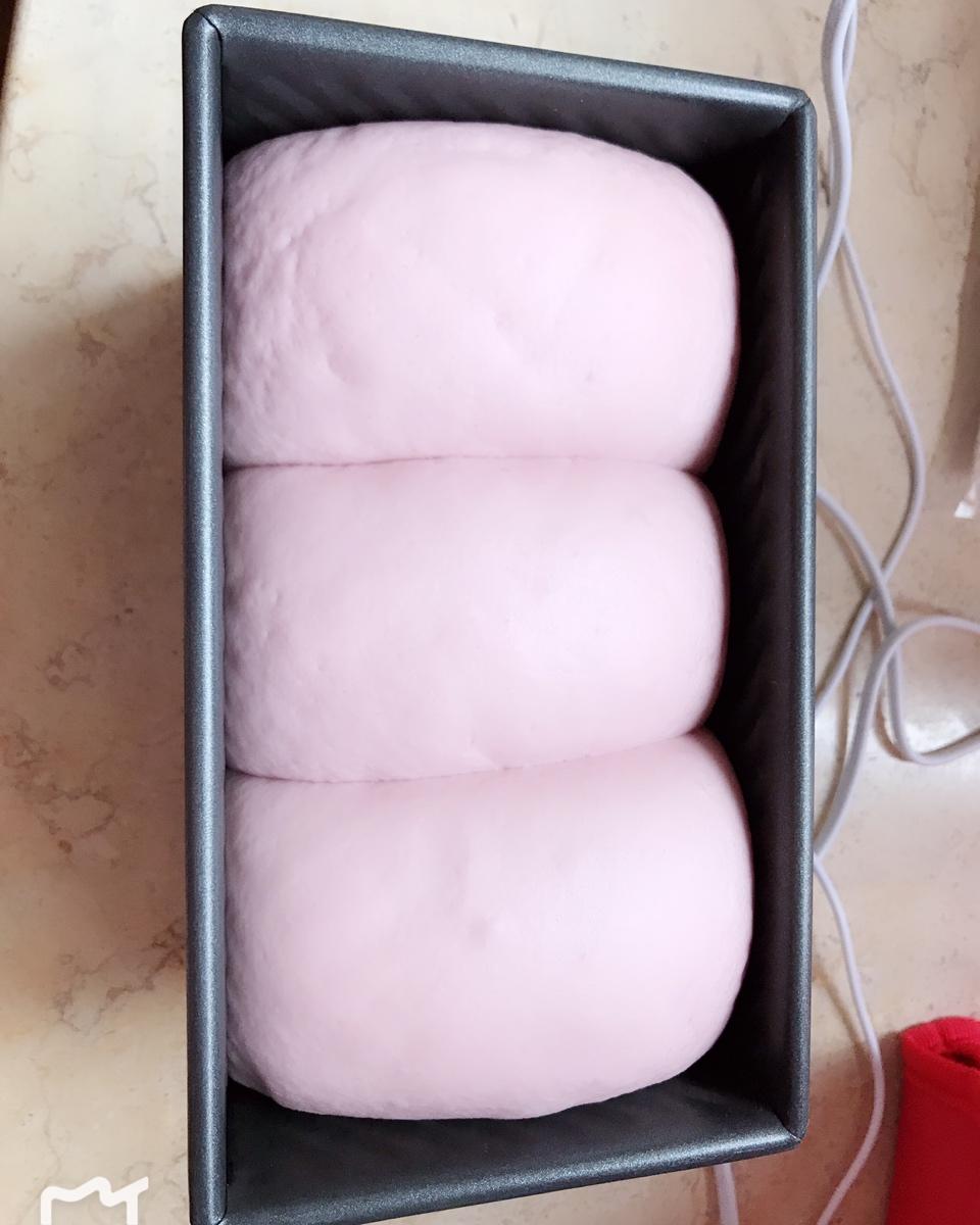 玩转面团——紫薯吐司（70%冷藏中种法）