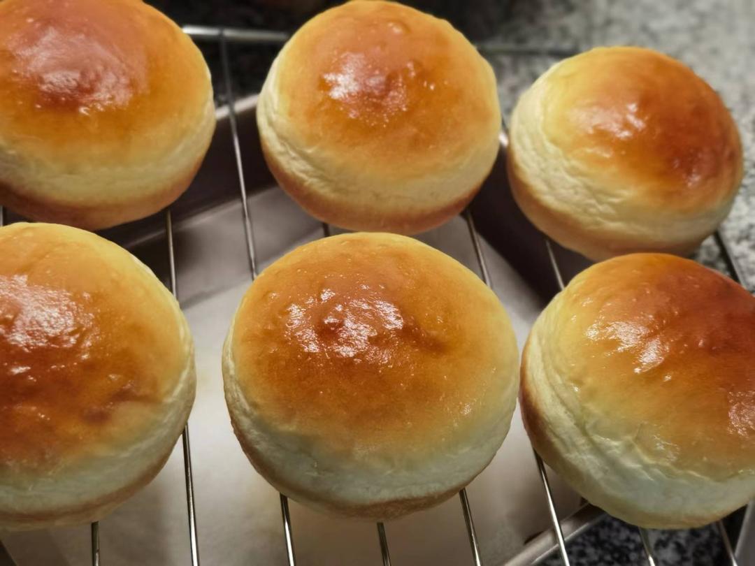 汉堡胚（中种法）