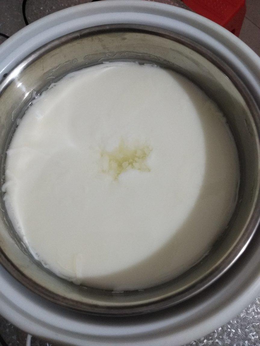 酸奶机自制酸奶