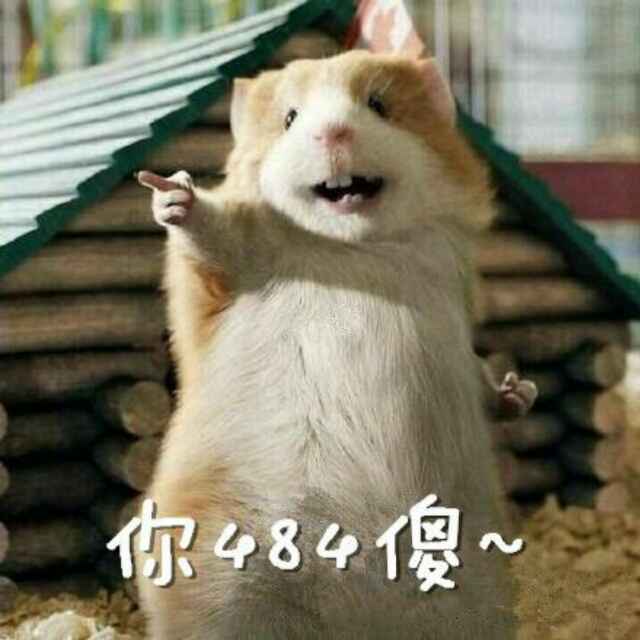 厨房杀手丶鹿鹿