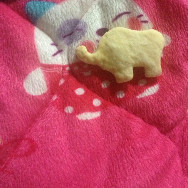牛奶苏打饼干