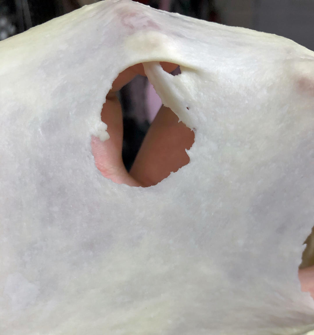 日式海盐面包卷｜咸香不腻｜回味悠长｜吃了还想吃