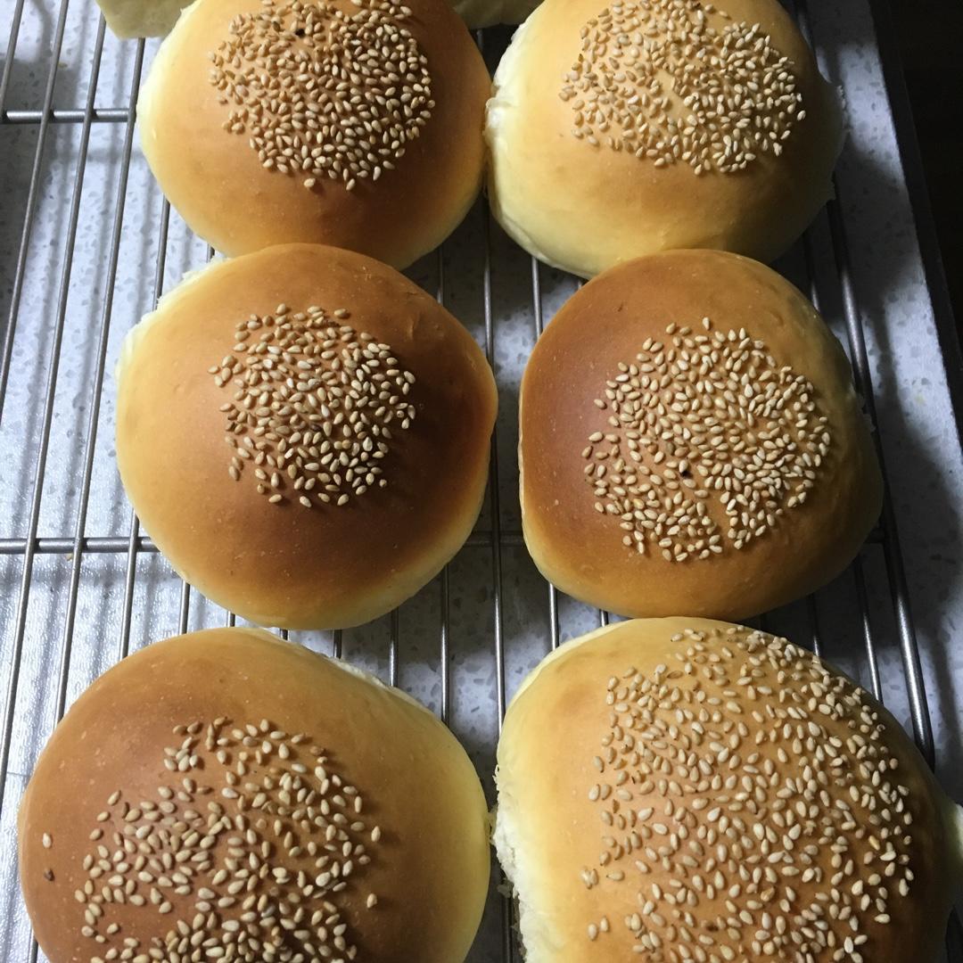 汉堡胚 poolish（波兰种）