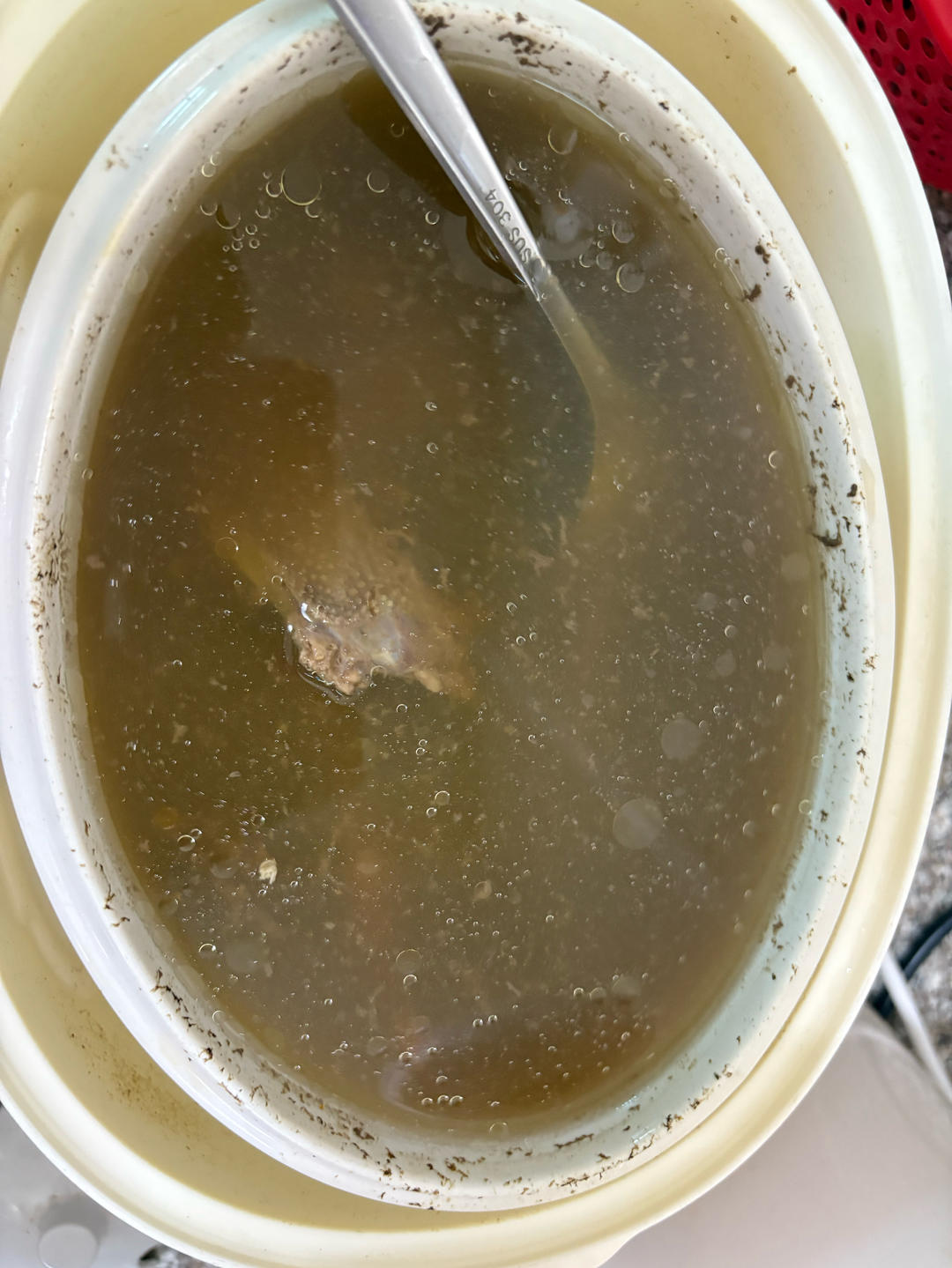 鸽子汤