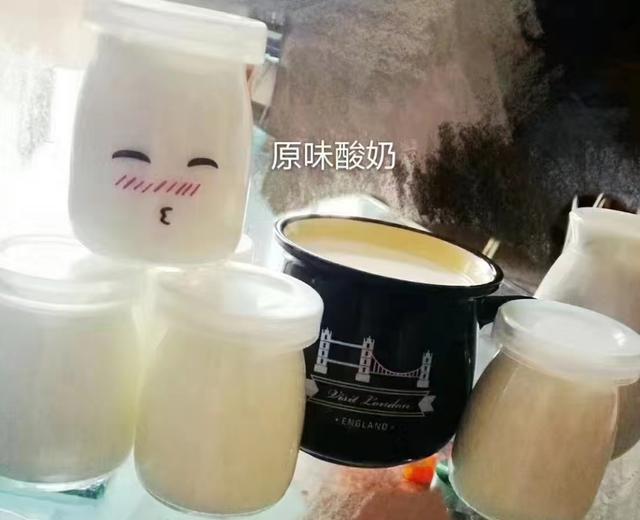 自制酸奶的做法