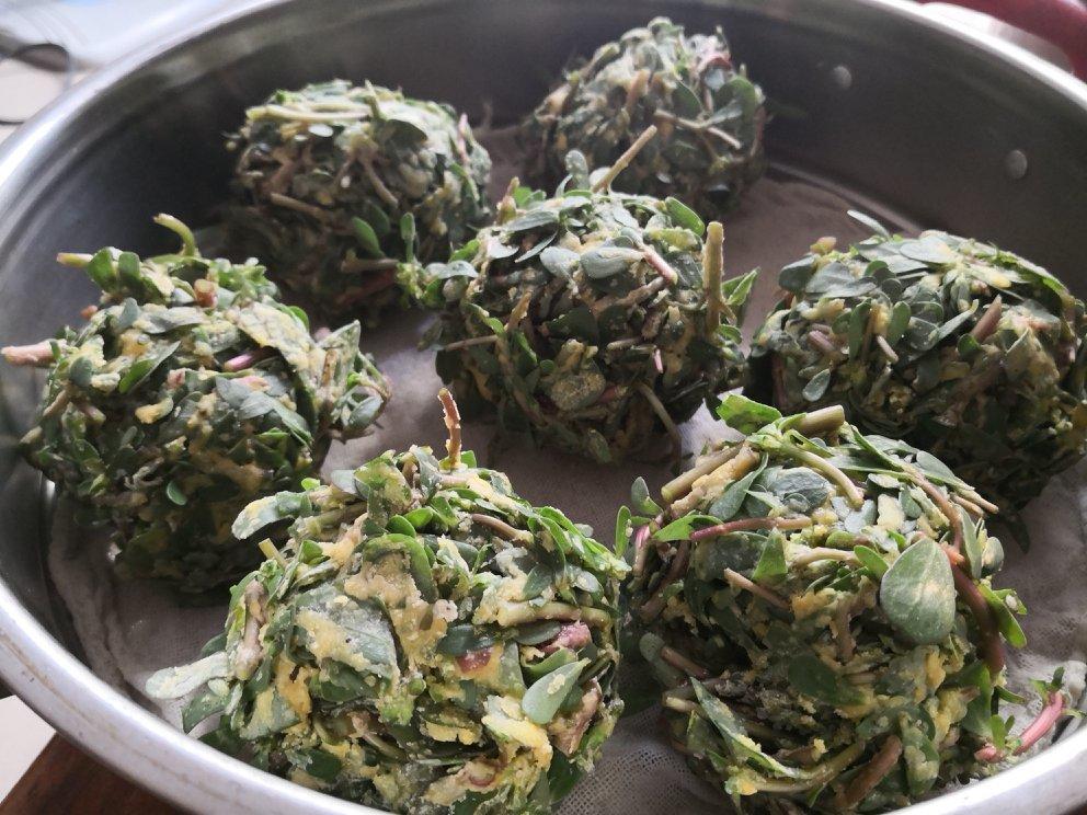 我是肉肉爱吃肉做的马齿苋菜团子
