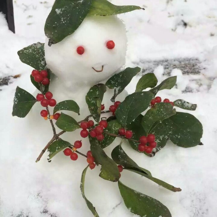 夏小七的快乐时光