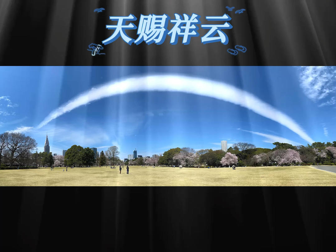 赏（樱）花纪行