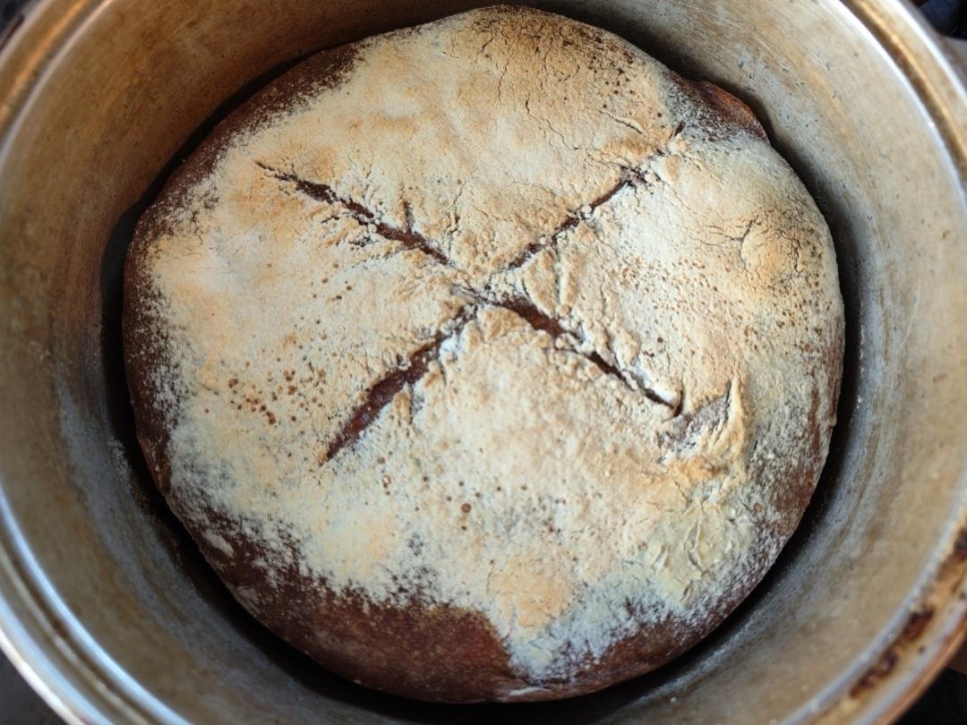 免揉💯无糖无油全麦欧包㊙️健康主食 越吃越香