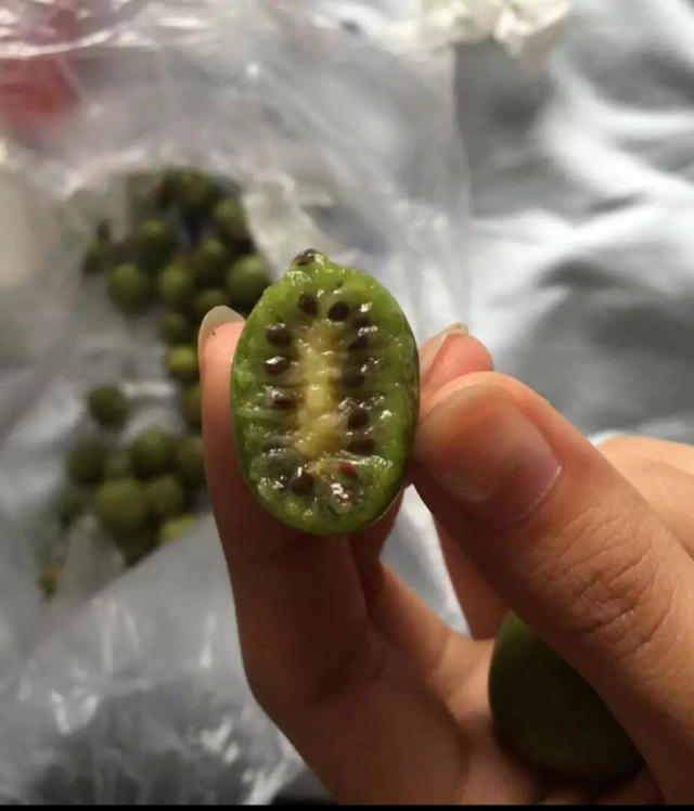 那些年俺们家吃过的水果