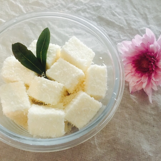 鲨鱼姐姐在吃肉做的椰奶冻