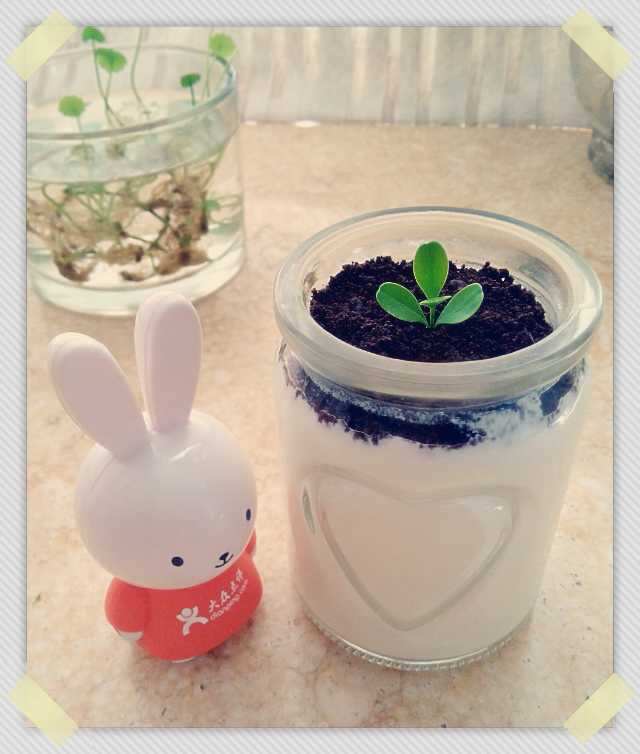 酸奶盆栽/继续延续小清新风/治愈系甜品