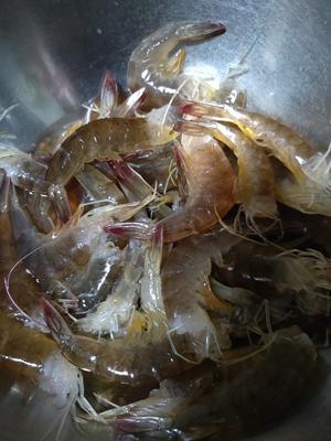 香酥虾的做法 步骤1
