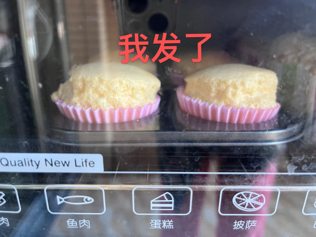 蜂蜜纸杯蛋糕