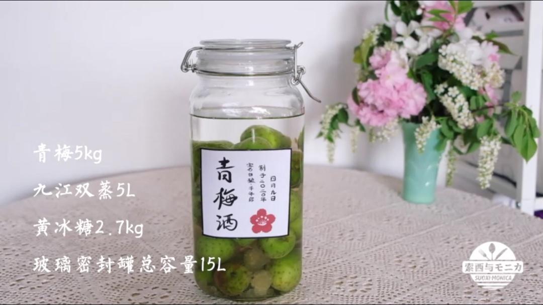 【自酿青梅酒】花荫之下，以青梅酿酒，待蝉鸣之时，与君长谈共醉