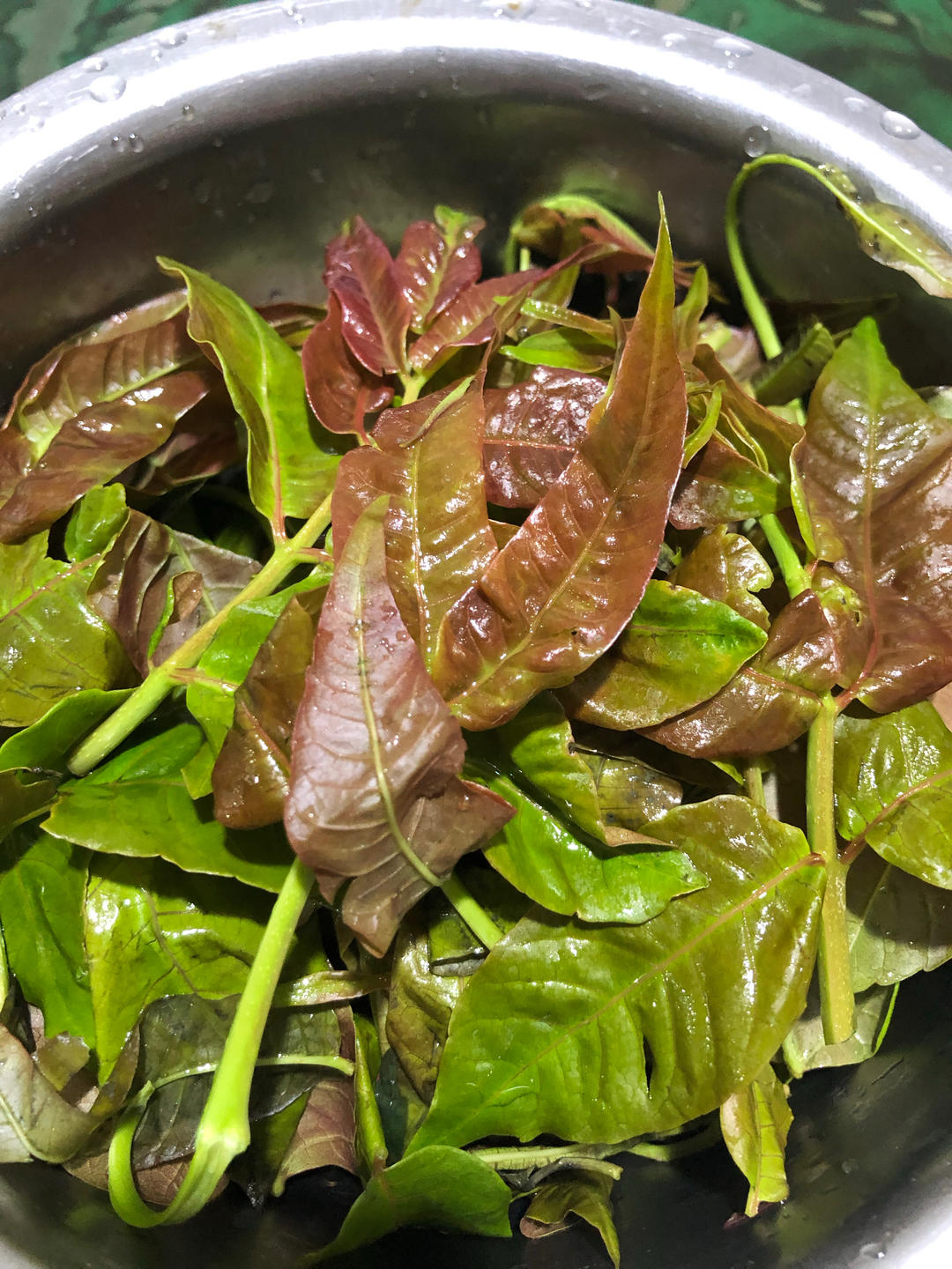 香椿炒蛋超级无敌香