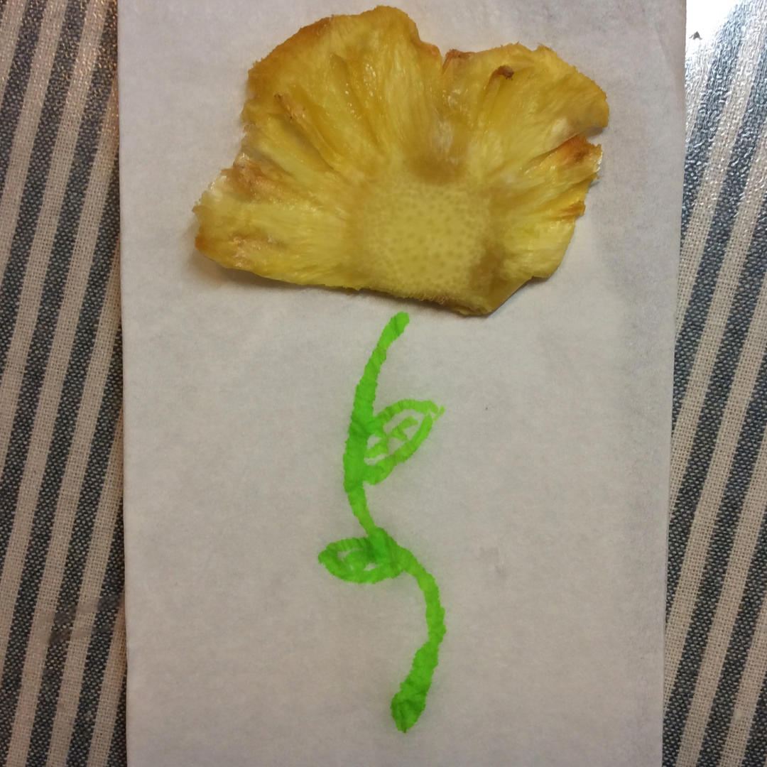 【烤菠萝片】——无负担零食