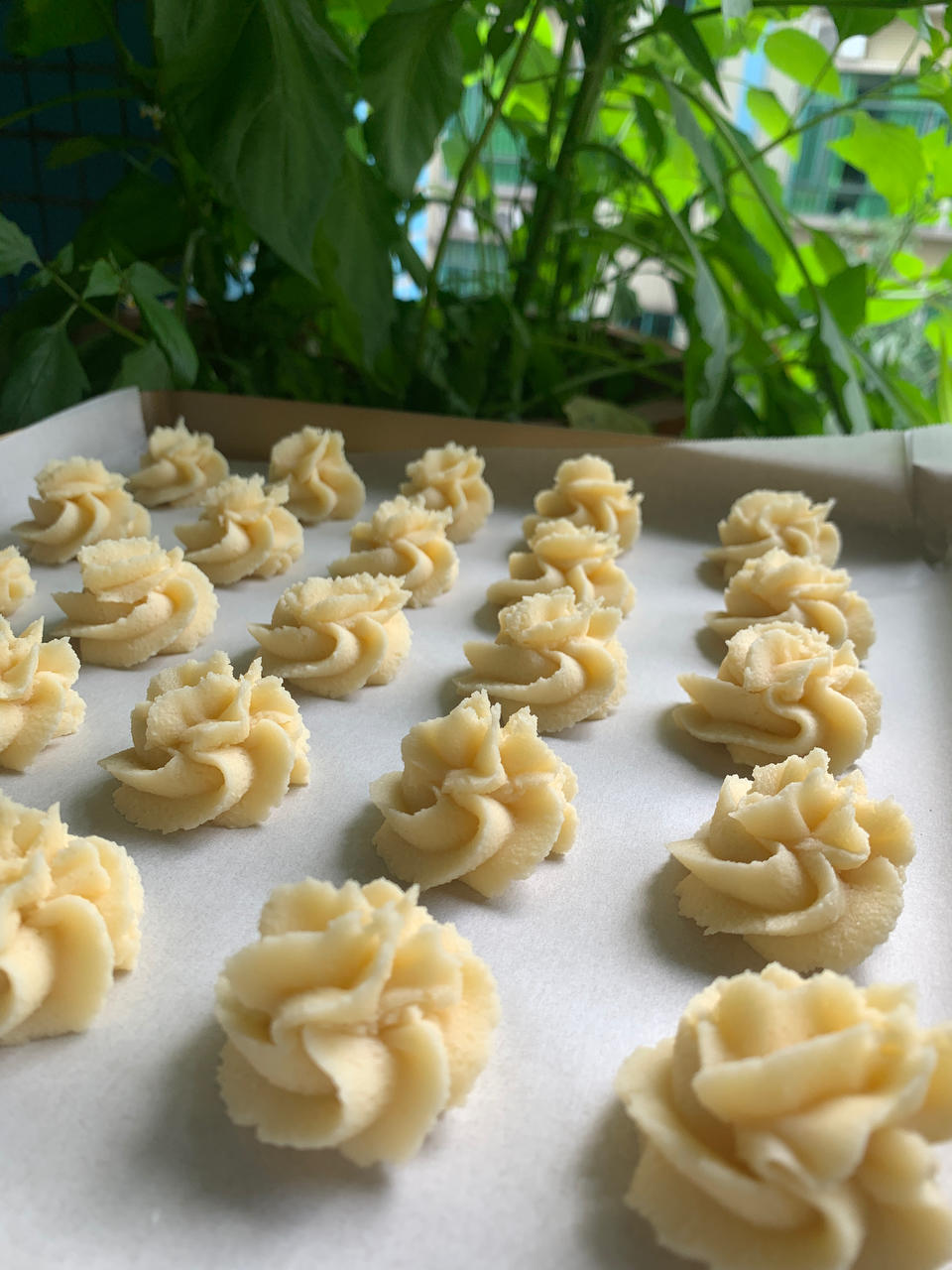 最好吃没有之一的曲奇！