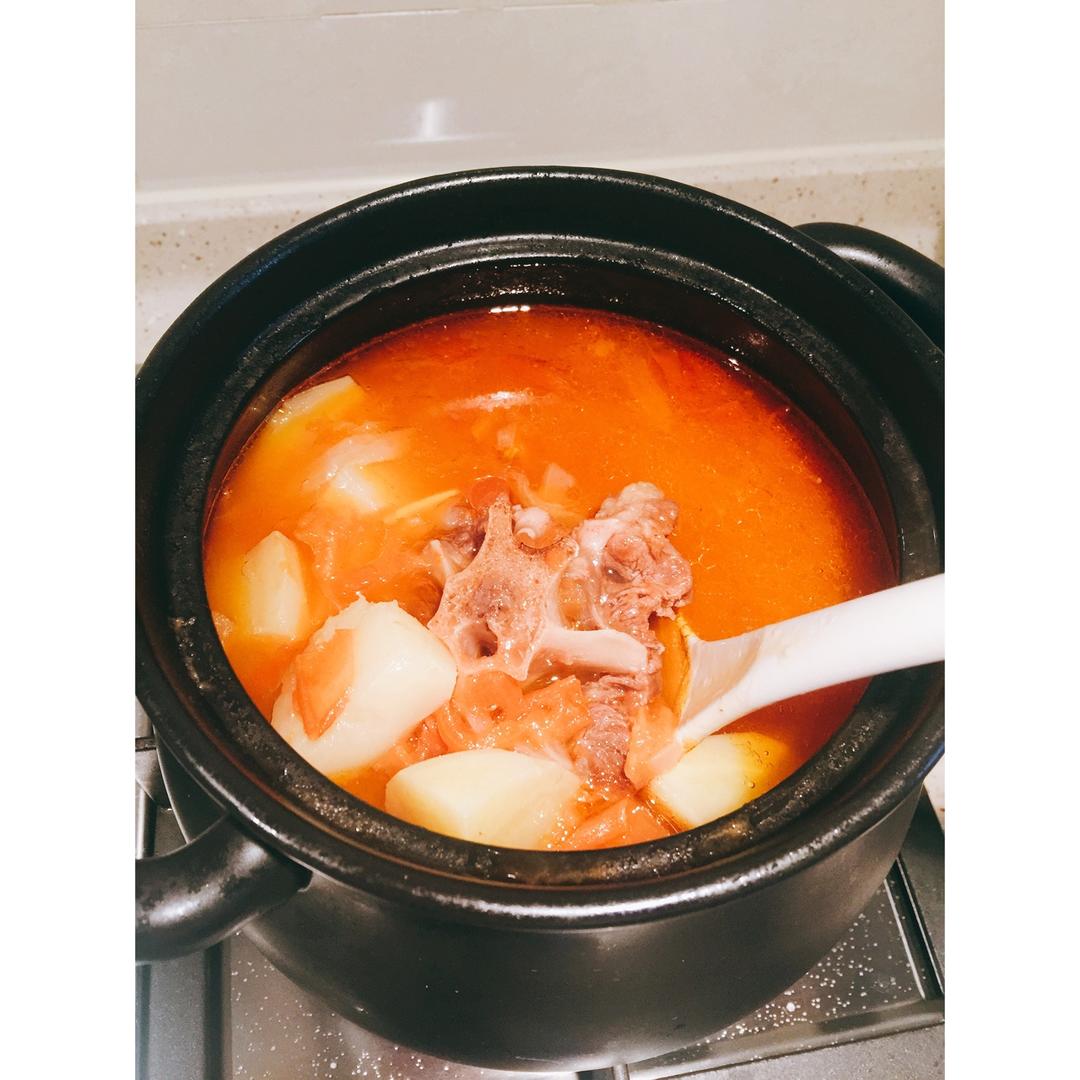 番茄牛尾汤