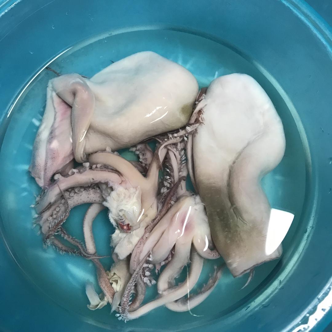 鱿鱼清理