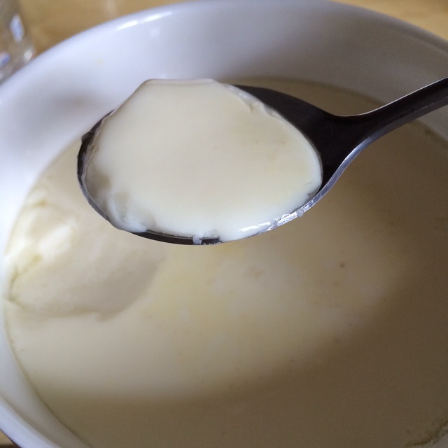 椰汁牛奶炖蛋的做法