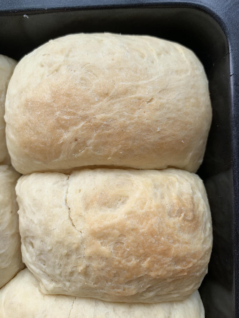 最好吃的牛奶吐司妃娟的100%中种北海道牛奶吐司奶油吐司