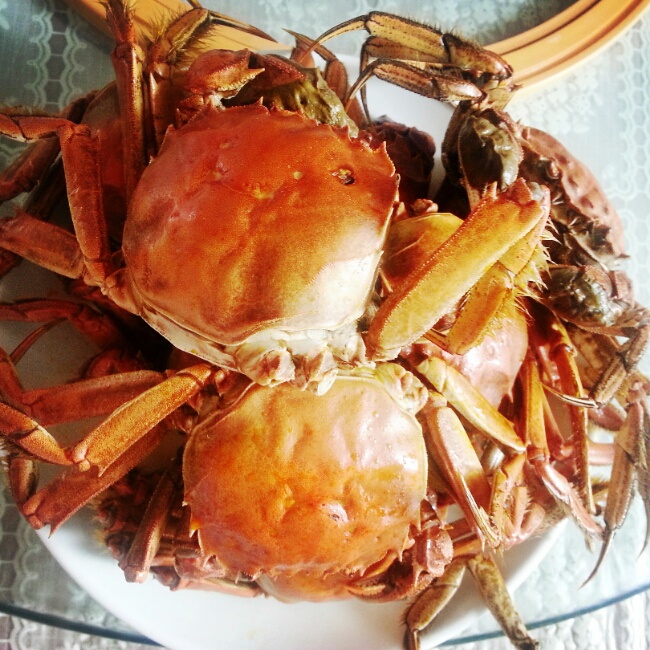 清蒸大闸蟹