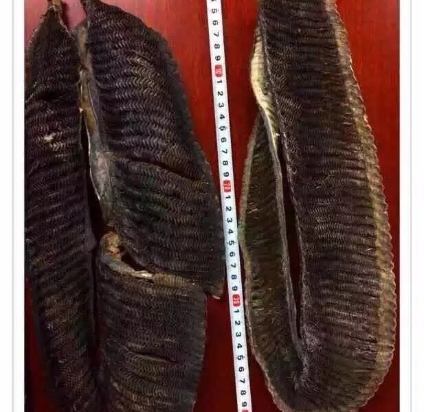 步骤图 膨鱼鳃瘦肉汤的做法 膨鱼鳃瘦肉汤的做法步骤 菜谱 下厨房 步骤图 膨鱼鳃瘦肉汤的做法 膨鱼鳃瘦肉汤的做法步骤 菜谱 下厨房