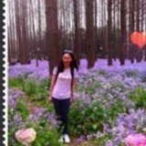森林森林森林森林森林