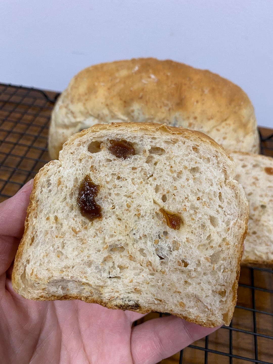 软噗噗的红酒全麦小葡萄