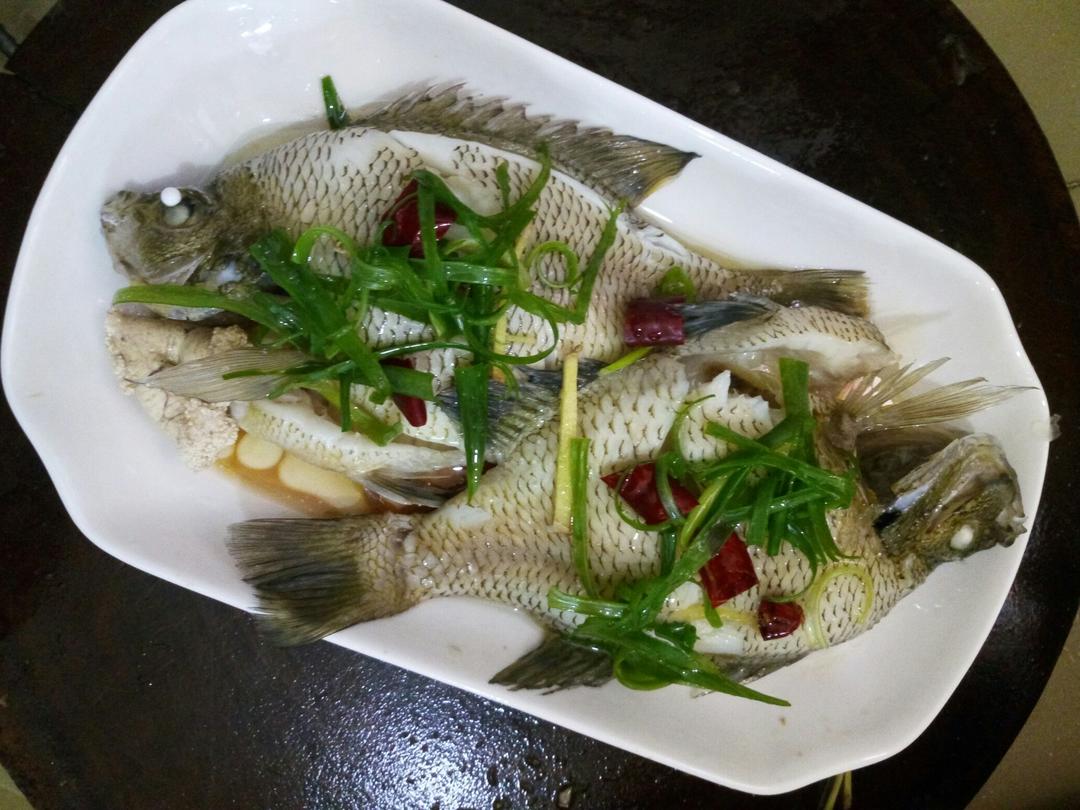 鱼牛肉鸡肉猪肉常见食材小吃烘焙汤羹减肥早餐下饭菜快手菜家常菜常用