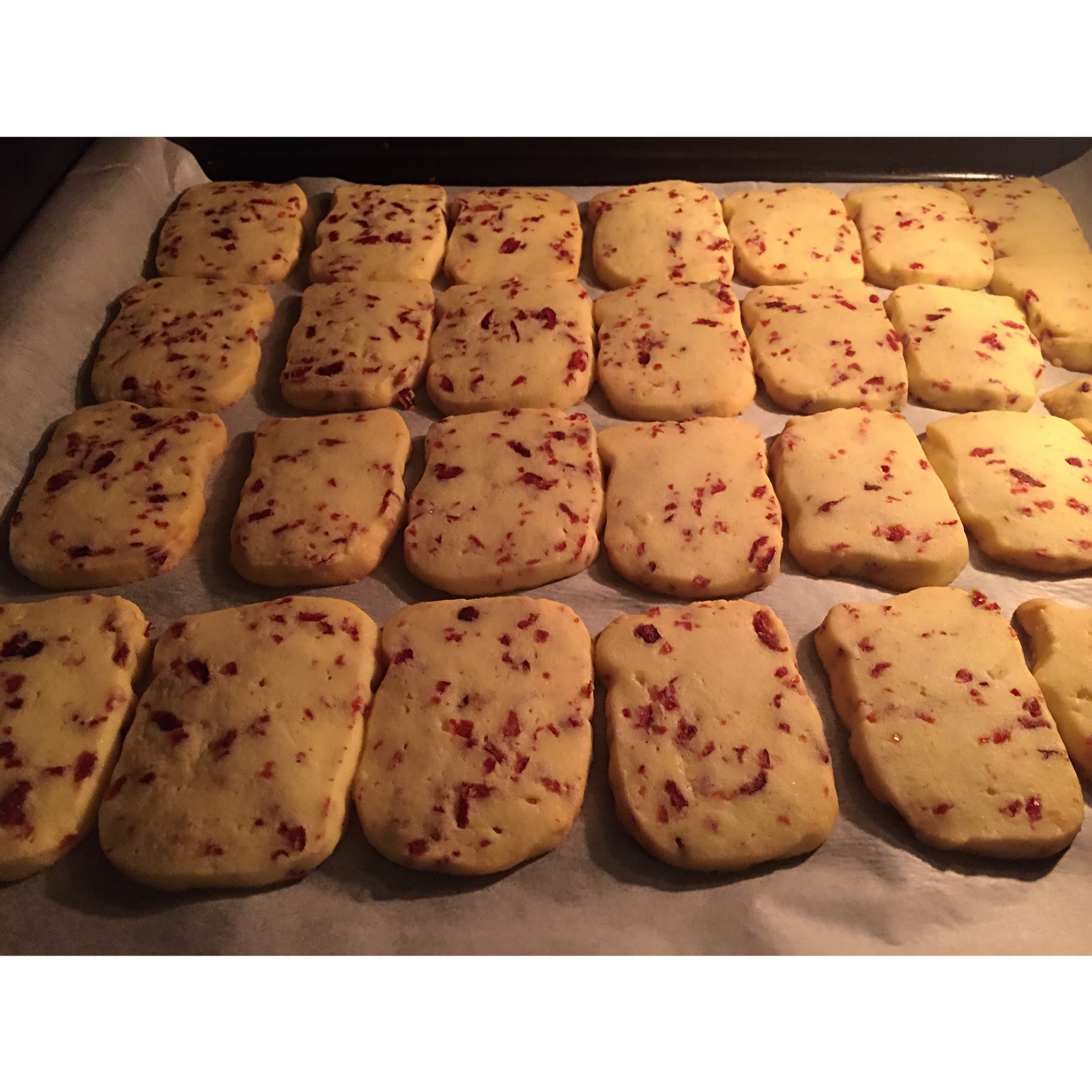 《Tinrry+》蔓越莓曲奇（超简单曲奇配方）