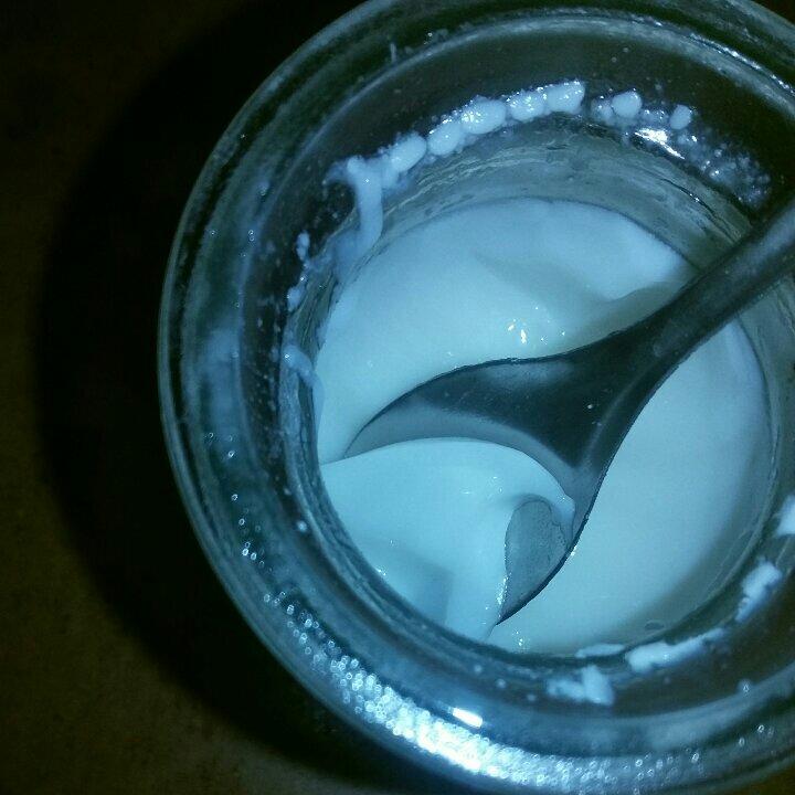 简单易学牛奶鸡蛋布丁