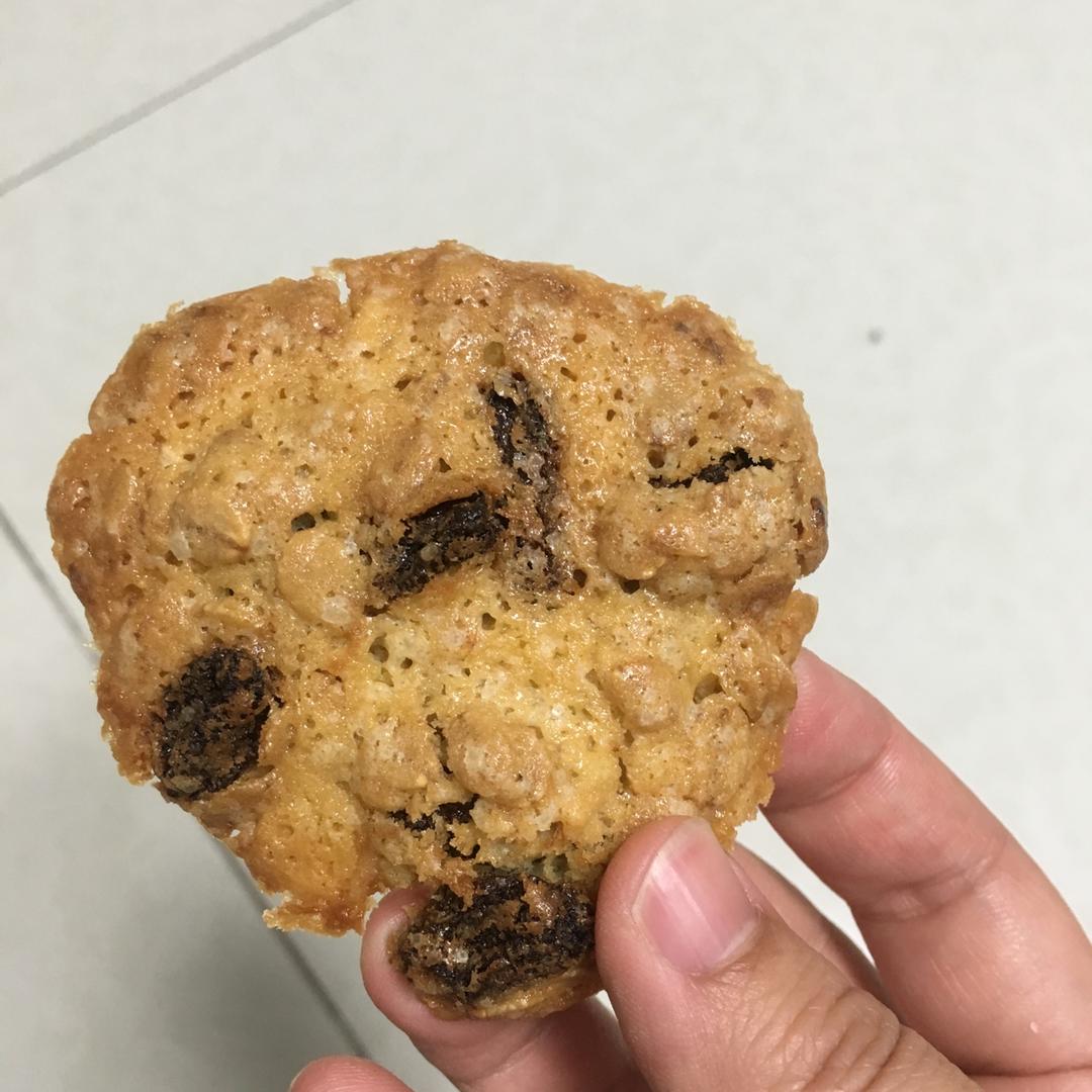 葡萄干麦片曲奇 Oats Cookies