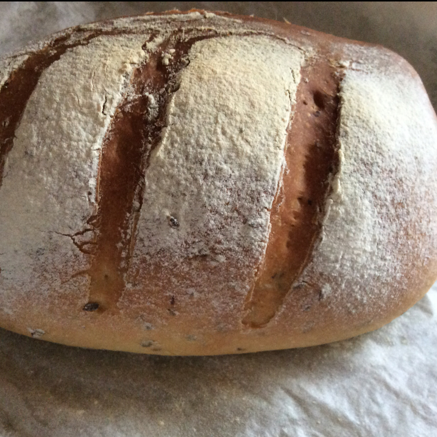 【保罗教你做面包】布鲁姆面包 Bloomer