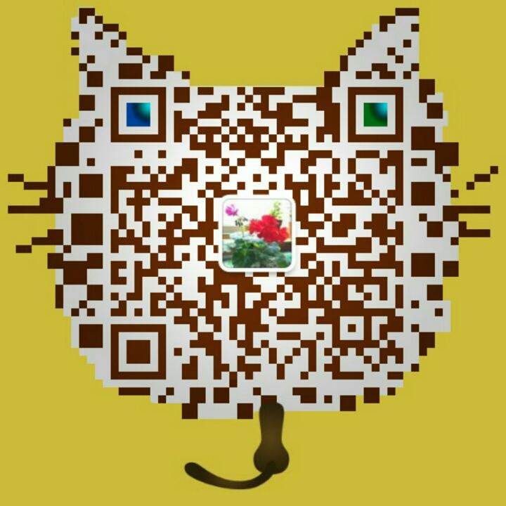 粉红小羊