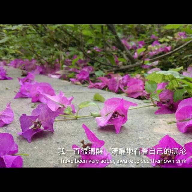 悦悦俩儿