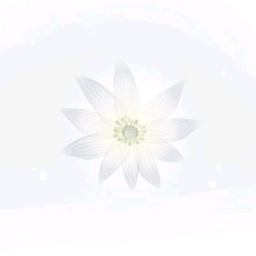 堕落无罪