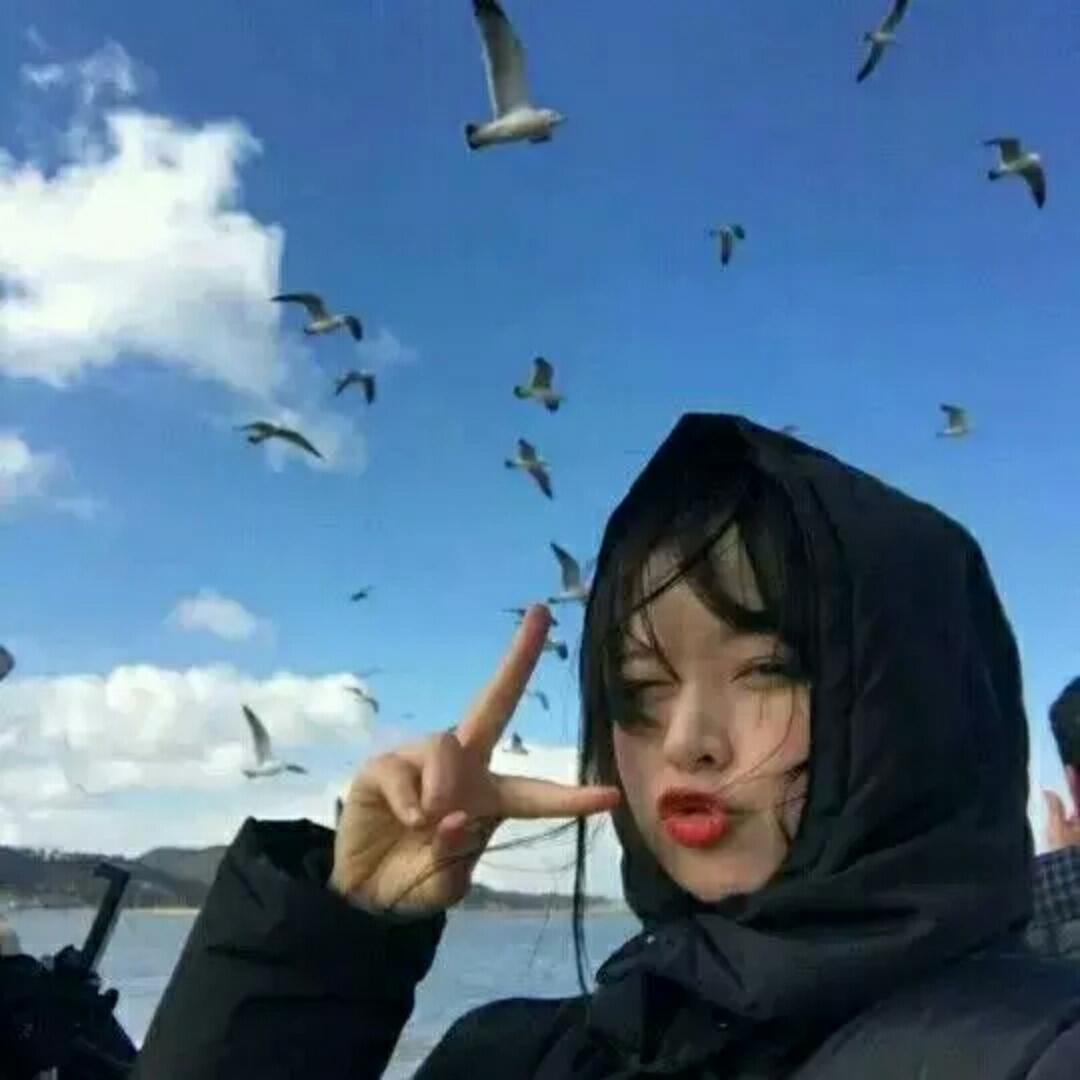 你可爱的大熊