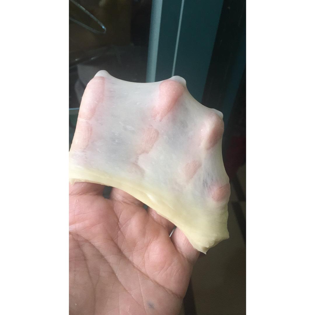 记录如何使用面包机快速揉面