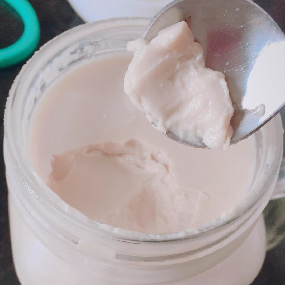 红茶意式奶冻