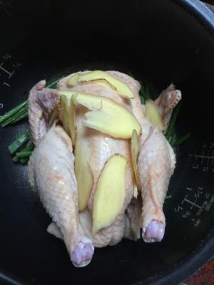 电饭煲版：广式手撕鸡的做法 步骤6