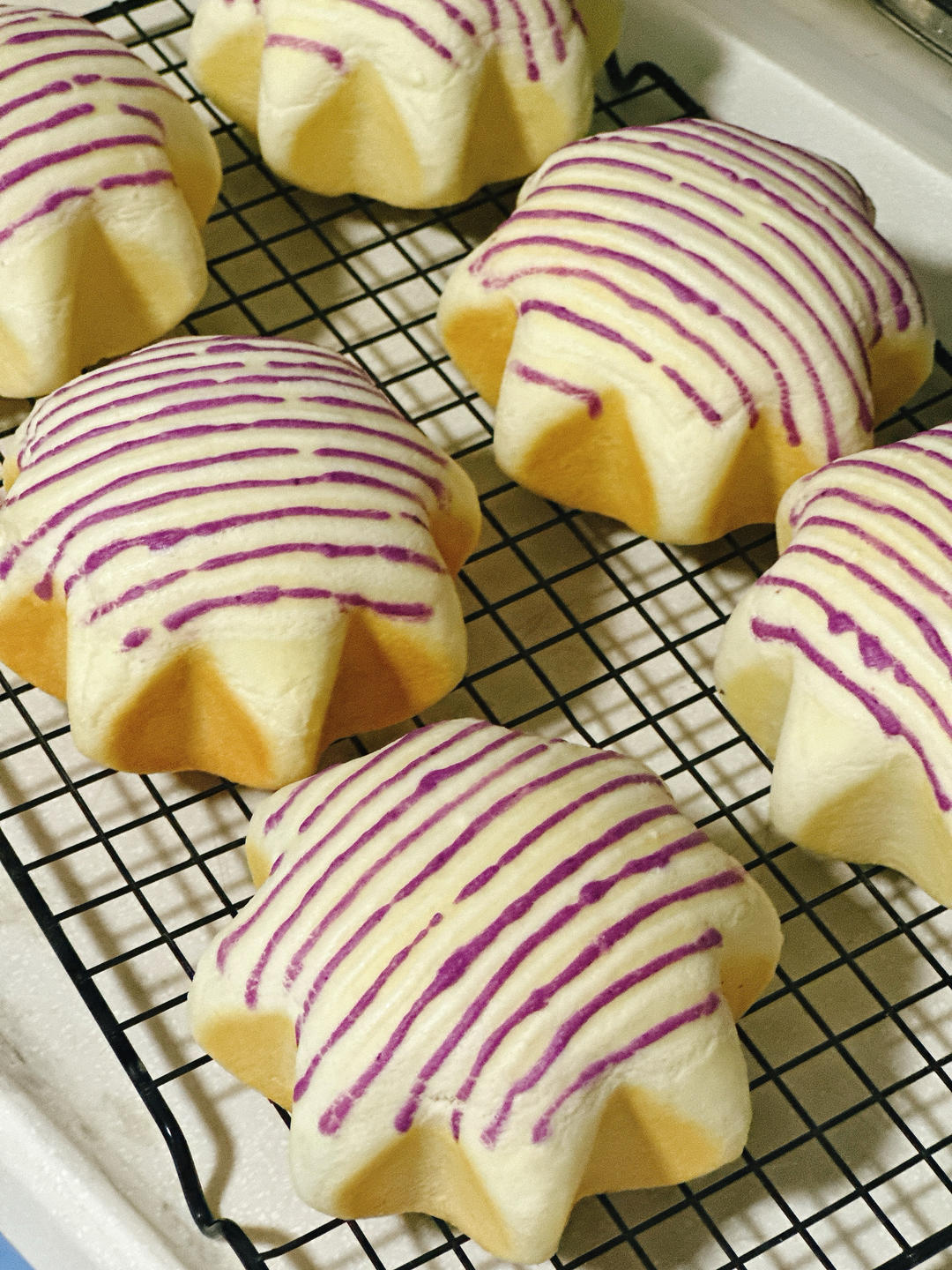 芝士熏鸡面包（万用方子）