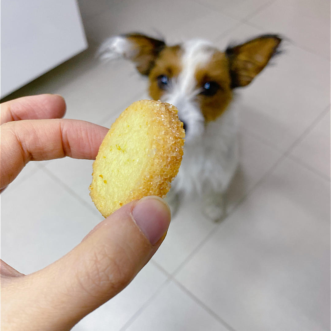Pierre Hermé 的法式钻石饼干Sablé Diamant