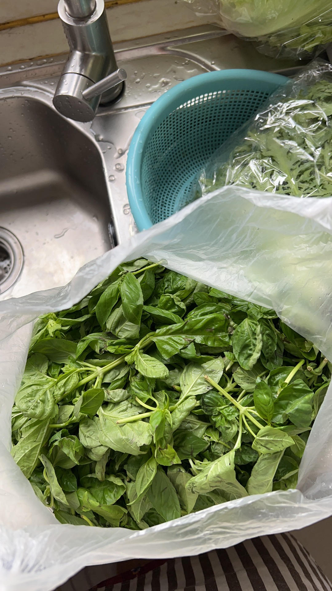 自制新鲜Pesto 传统罗勒松仁青酱意面酱