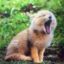 手机用户3233_asm3的厨房