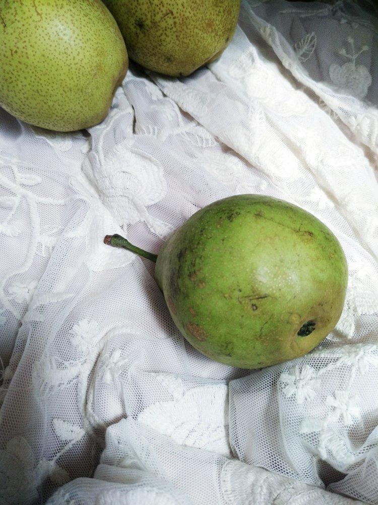 食物的本来面目