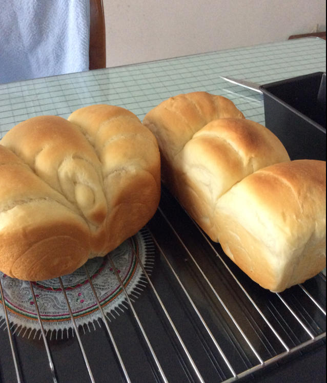 淡奶油吐司--冷藏中种法