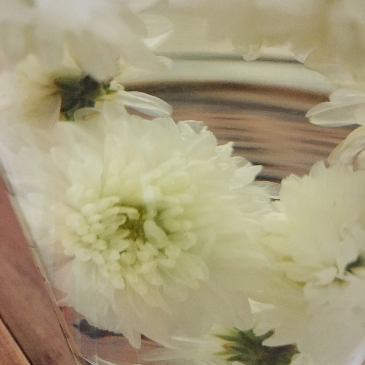 冰糖菊花茶
