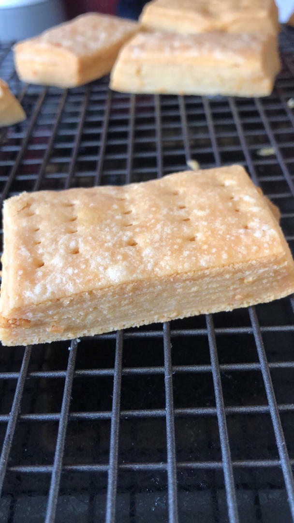 属于成年人的咸蛋黄饼干